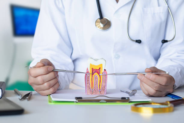 Best Emergency Care for Gum Disease in Hart, MI